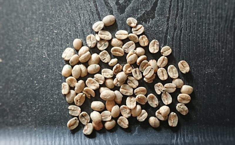 raw-beans-comparison_10