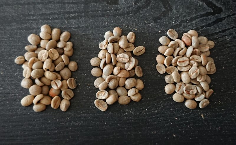 raw-beans-comparison_12