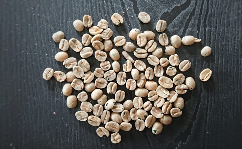 raw-beans-comparison_6